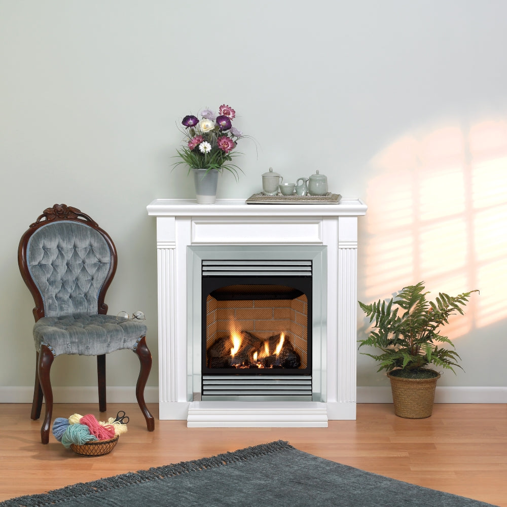 Empire Comfort Systems, Inc Part (VFP24FP30LN) 24 in. Vail VF Premium  Fireplace