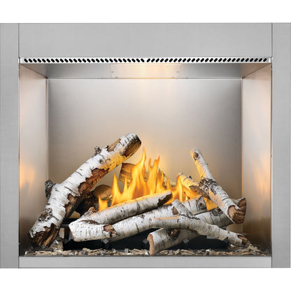 Napoleon Riverside 42 Clean Face Outdoor Gas Fireplace - RSS42NE