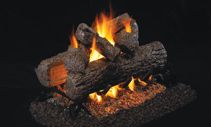 RealFyre 18 Inch G45 Series See-Thru Vented Gas Log Set with IPI Ignition - G45-2-18-20-02