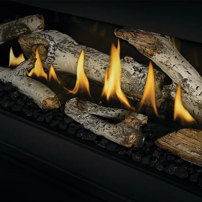 Napoleon See-Through Tall Linear Vector 74 with Luminous Logs Direct Vent Gas Fireplace - TLV74LN2