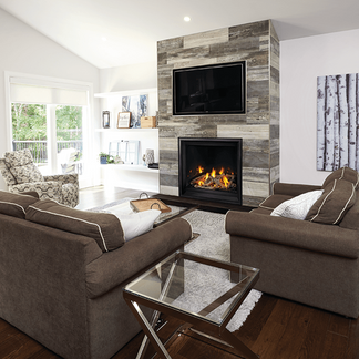 Napoleon Altitude X 42 Direct Vent Gas Fireplace | AX42 – North Country ...