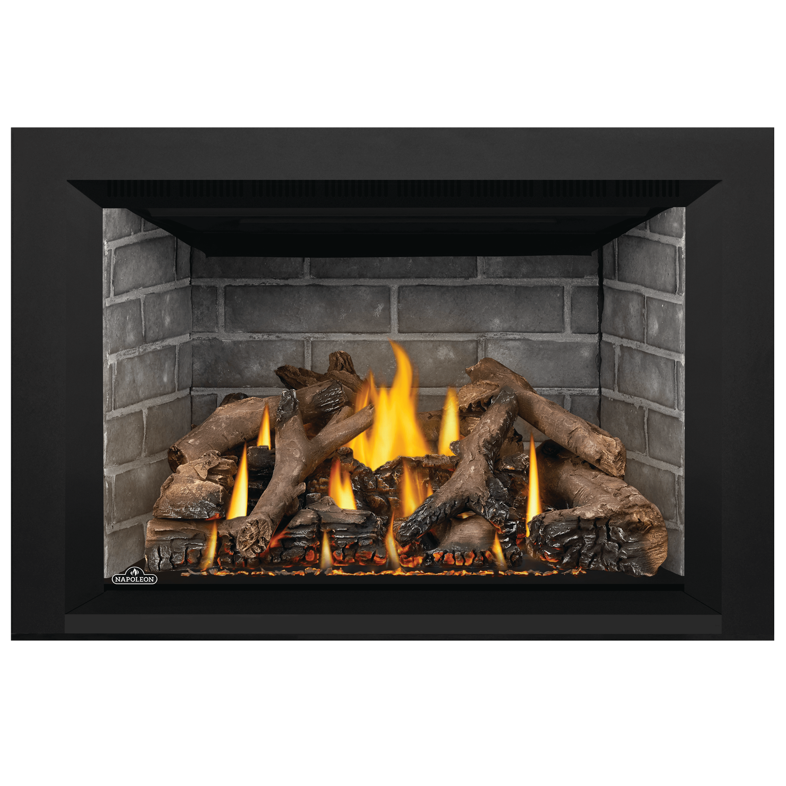 Oakville Series GDIX4N Direct Vent Gas Fireplace Inset by Napoleon