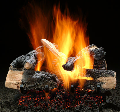 Hargrove 18-21 Inch Charred Series Vented Gas Log Set With Variable Flame Control - 18RNEB1F5