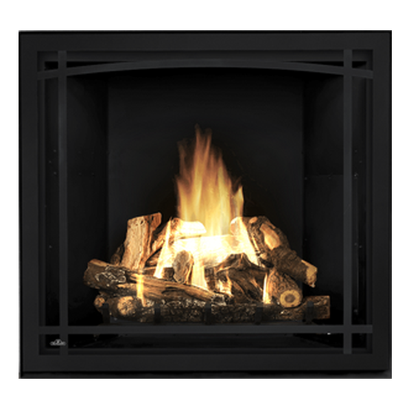 Napoleon Starfire 35 TV Propane Gas Fireplace | HDX35NT/W175-0407