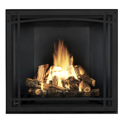 Napoleon Starfire 35 TV Propane Gas Fireplace | HDX35NT/W175-0407